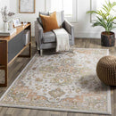 Deftera Traditional Burnt Orange Area Rug