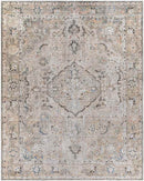 Goose Lake Traditional Taupe Washable Area Rug