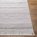 Marinouda Modern Medium Gray Area Rug