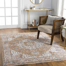Hornick Traditional Orange Area Rug