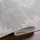 Veneind Rustic Gray Area Rug