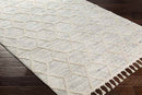 Mathia Modern Cream Area Rug