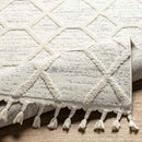 Mathia Modern Cream Area Rug