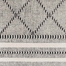 Kalopsida Global Medium Gray Area Rug
