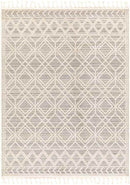 Beykoy Global Light Gray Area Rug
