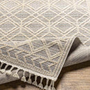 Beykoy Global Light Gray Area Rug