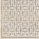 Asomatos Modern Gray Area Rug