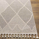 Kontemenos Global Light Gray Area Rug