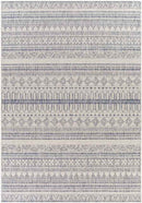 Keota Global Navy Area Rug