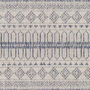 Keota Global Navy Area Rug