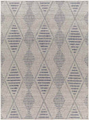 Kinross Global Dark Blue Area Rug