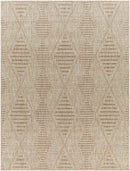 Kinross Global Brown Area Rug
