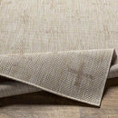 Kiron Global Brown Area Rug