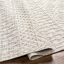 Gratz Global Light Taupe Area Rug