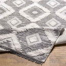 Moran Rustic Light Gray Area Rug