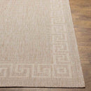 Albert Traditional Beige Area Rug