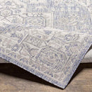 Alvord Traditional Ivory Area Rug