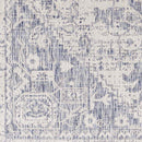 Alvord Traditional Denim Area Rug