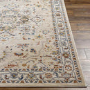 Asbury Traditional Light Orange Area Rug