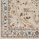 Asbury Traditional Light Orange Area Rug