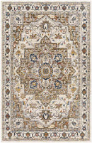Asbury Traditional Brown Area Rug
