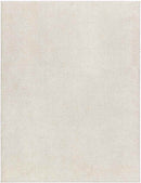 Richlawn Modern Light Beige Washable Area Rug