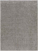 Richlawn Modern Charcoal Gray Washable Area Rug
