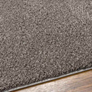 Richlawn Modern Charcoal Gray Washable Area Rug