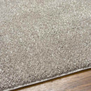 Richlawn Modern Medium Gray Washable Area Rug