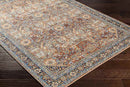 Robertson Coastal Burgundy Area Rug