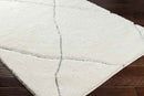 Selden Global Ivory/Light Gray Area Rug