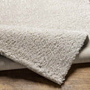 Boyer Modern Light Gray Area Rug