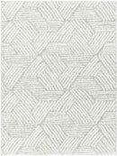 Brooke Modern Light Gray Area Rug