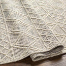 Copeland Global Gray Area Rug