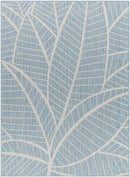 Smolan Coastal Light Teal Area Rug