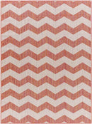 Spring Global Dark Coral/Ivory Area Rug