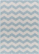 Spring Global Sky Blue/Ivory Area Rug