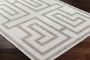 Sylvia Global Ivory/Dark Gray Area Rug