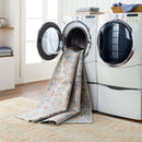 Ellinwood Traditional Oatmeal/Rust Washable Area Rug