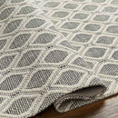 De Witt Modern Charcoal Area Rug