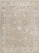 Falls Traditional Taupe Area Rug