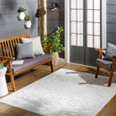 Castalia Modern Ivory Area Rug