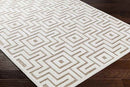 Chanute Modern Brown Area Rug