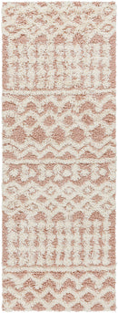 Carter Global Peach Area Rug