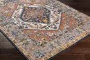 Druid Hills Traditional Burnt Orange Area Rug