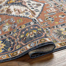 Druid Hills Traditional Burnt Orange Area Rug