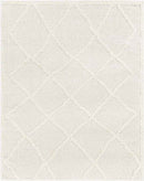 Hutchinson Modern Cream Area Rug