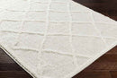 Hutchinson Modern Cream Area Rug