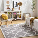 Jack Creek Modern Charcoal Area Rug