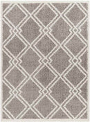 Lake Creek Modern Gray Area Rug